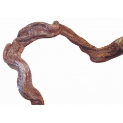 Liane ca. Ø 5cm / 200cm