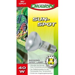 Spot solaire 40W - DRAGON