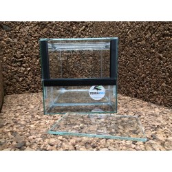 Terrarium 15*25*15