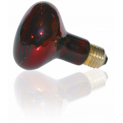 Lampe rouge 50W - R80 E27 - DRAGON